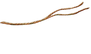 Animación de metamorfosis